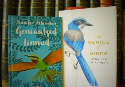 “Geniaalsed linnud” – tõlkesse kadunud, erutav lugemine linnuökoloogile