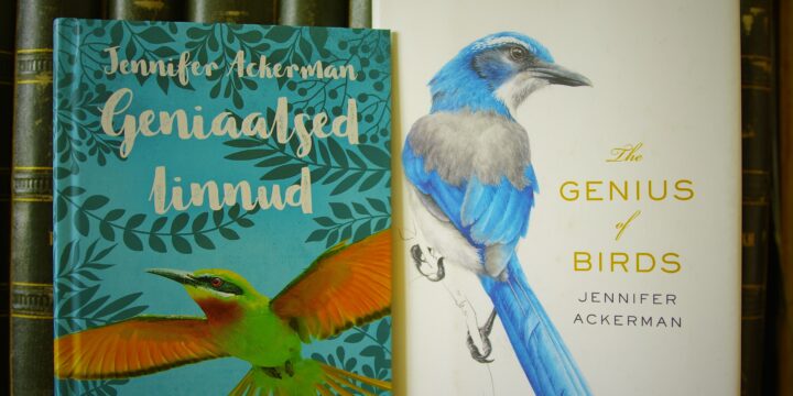 “Geniaalsed linnud” – tõlkesse kadunud, erutav lugemine linnuökoloogile